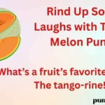 Rind Up Some Laughs with These Melon Puns!