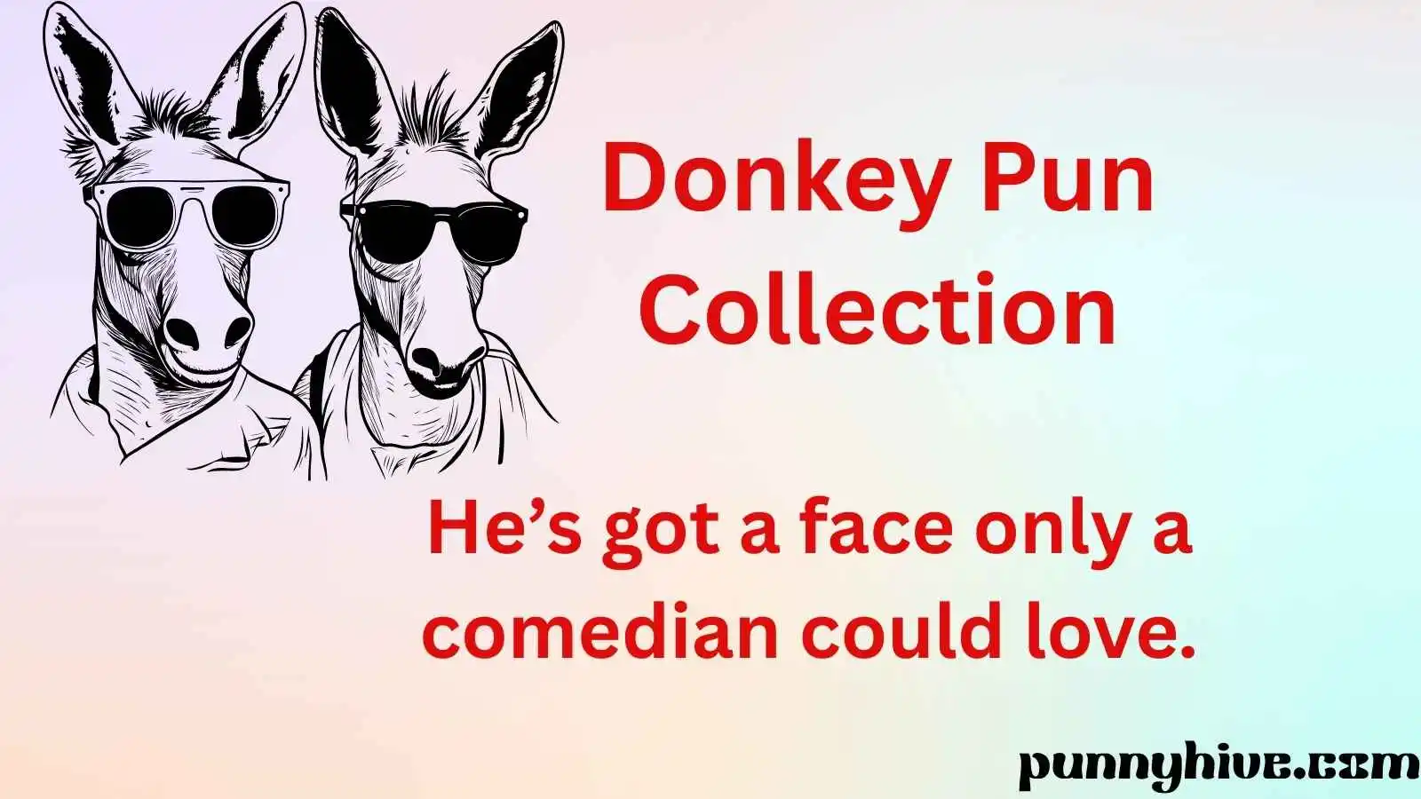 Donkey Pun Collection