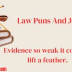 Law Puns And Jokes